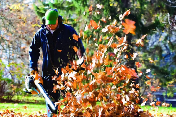 Leaf Removal in Haslet