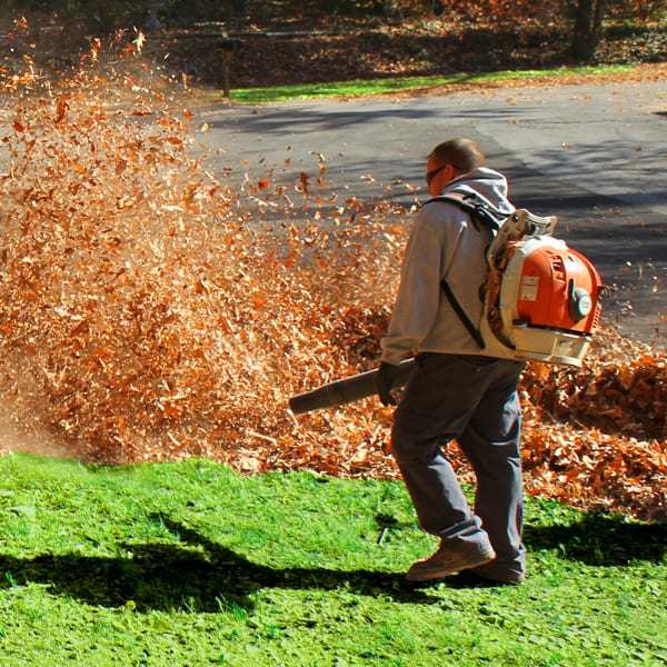 Leaf Removal in Haslet
