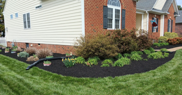 Landscaping in Lake Worth