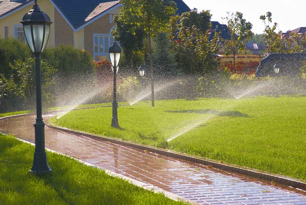 View leaf removal project in Lake Worth
